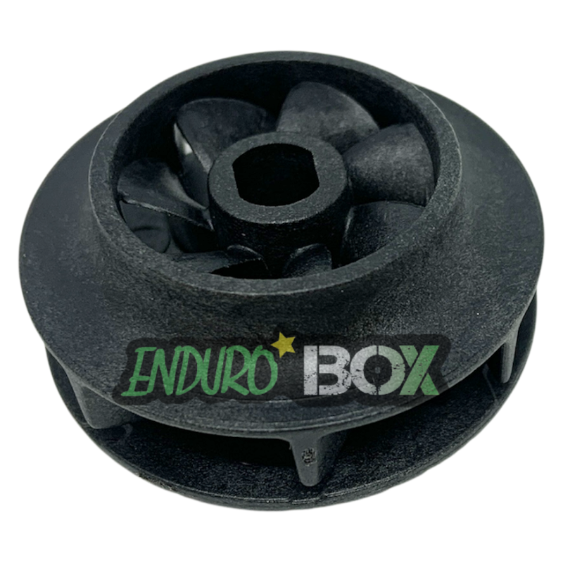 Turbine Pompe à Eau BETA RR 4T 20-Auj Endurobox