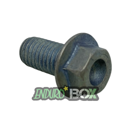 Vis M8x16 SHERCO SE Support de culasse 24-Auj Endurobox