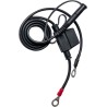 Chargeur BS BATTERY BS-10 Enduro Box
