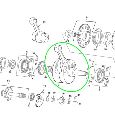 Vilebrequin Assemblé SHERCO 300cc SEF 19-20 Enduro Box