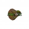 Bouchon Vidange Huile SHERCO 50cc Enduro Box