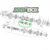 Axe Secondaire de Selection SHERCO 250/300cc SE Enduro Box