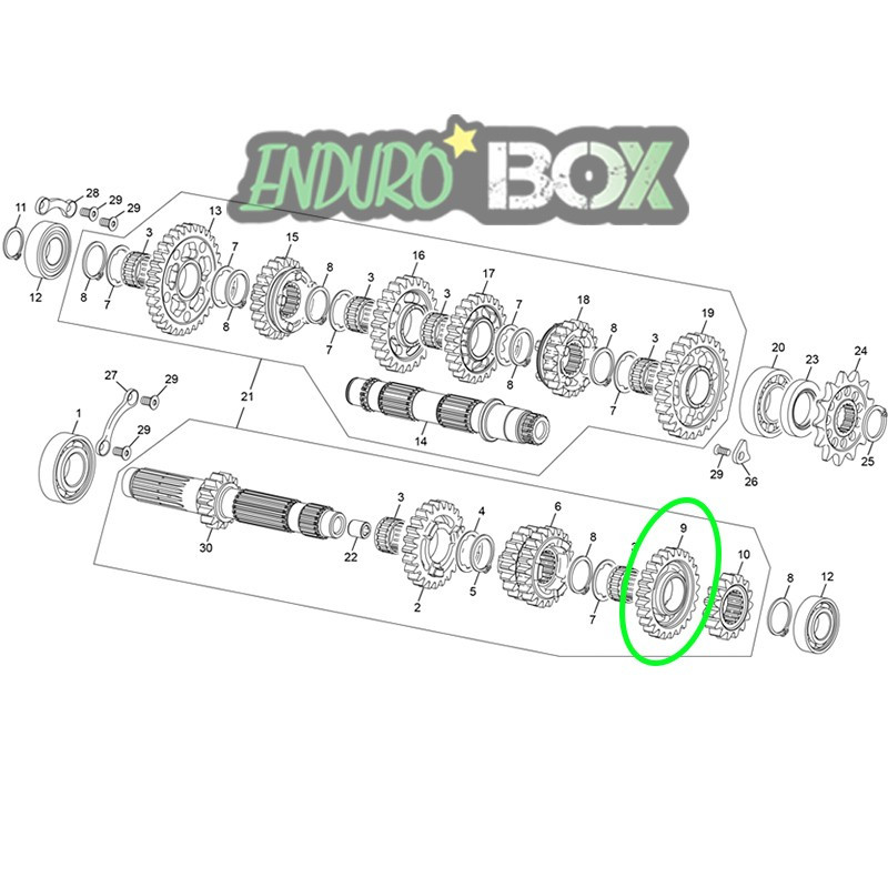 Pignon Primaire 6 SHERCO 250/300cc SE 21-Auj Enduro Box
