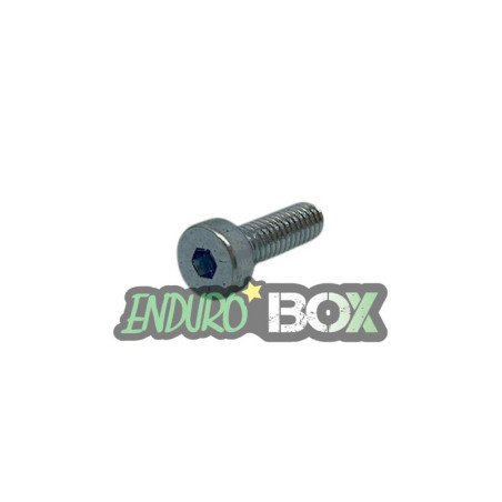 Vis valve echappement SHERCO 250/300 SE 14-18 Endurobox