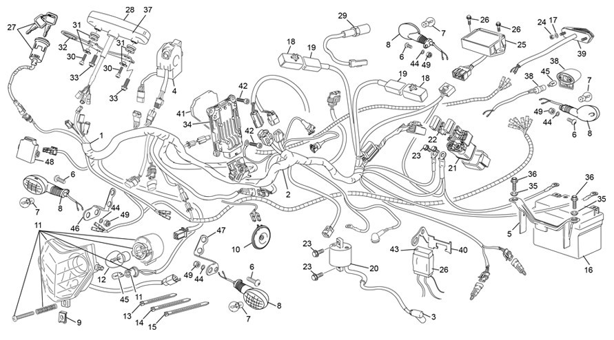 faisceau électrique [125 SE FACTORY [2023 [Enduro]]]
